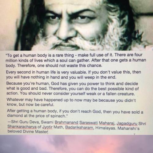 ,                                                .                                                                                      Guru Dev Legacy Trust[10307]