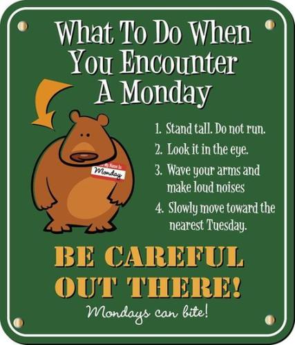 449838173_122107417154386475_1146692894857959344_n