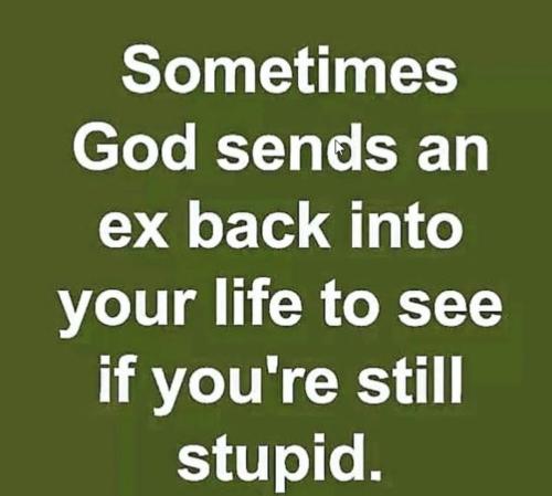 Screenshot_20240630-135243_Wimkin Free Speech Social Media