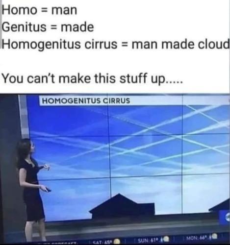 452920663_122195314592028776_228189365855928735_n