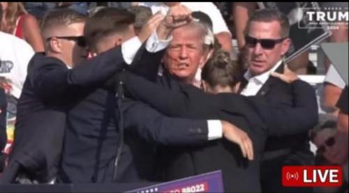 29c0cfee-660a-4b79-904e-ef954b9cc837