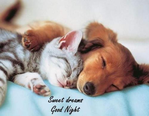 FB_IMG_1617370572123