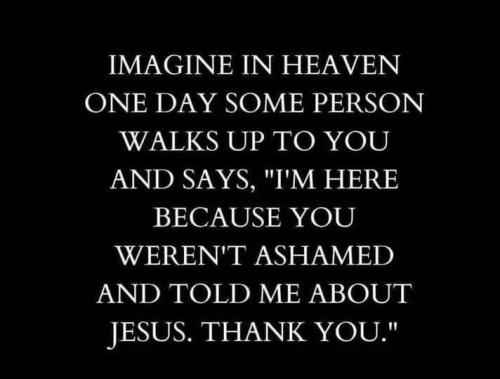 75384afd-b417-48bc-b9a5-0aab8c8b175c