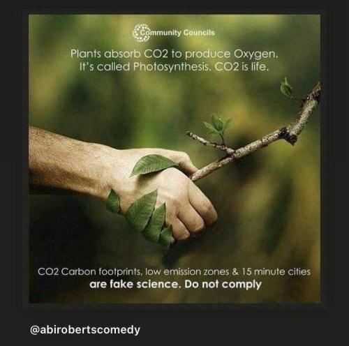 IMG_20240715_203147_822