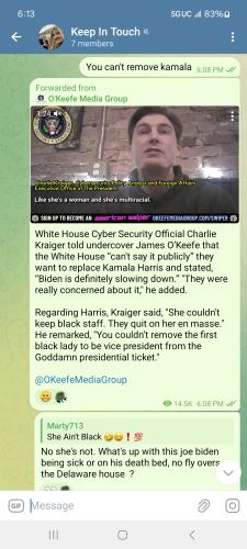 Screenshot_20240722_181318_Telegram