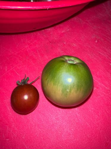 F70FC2D3-B9F9-4588-A82C-2273F035AB21