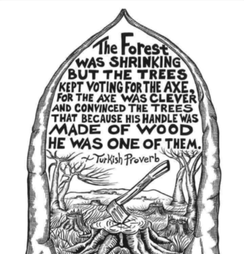 Screenshot_2024-07-18-11-40-39_kindlephoto-180654855