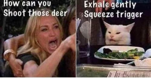 FB_IMG_1722025396218