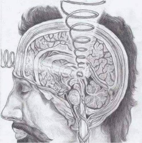 ,                              ,    ,