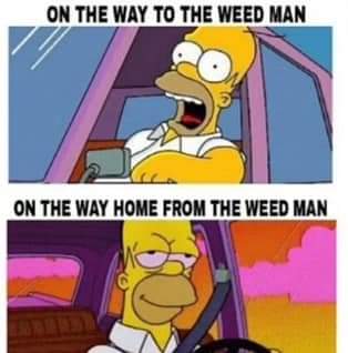 FB_IMG_1722404566582