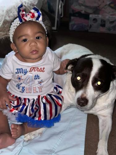 5433a8c1-bfd1-4f28-89c0-9f91ad524f13