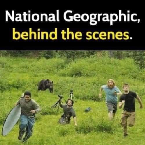 image_E9043248-BC3B-4CD3-8641-94CB42ED2F9B