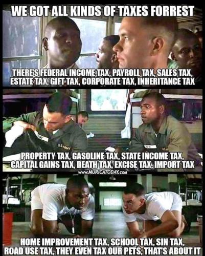 image_E7A9E826-2C16-410A-B40A-702199DCAF06