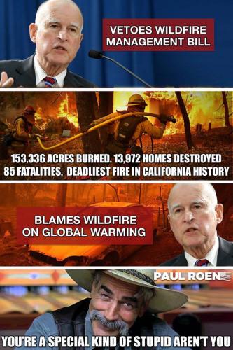 brown wildfire agenda21 democratarson