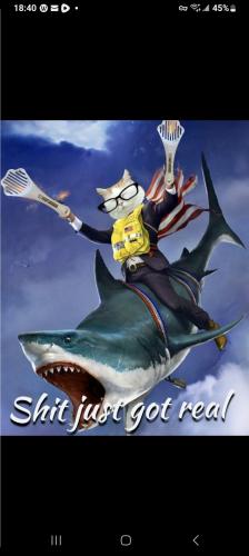 Screenshot_20240704_184016_Truth Social