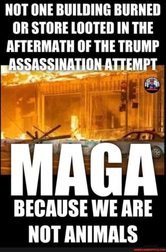 af13a9adbe91efef0e2d0179eabf0df8cf156fe545f9858ed52f3837015a50d9_1