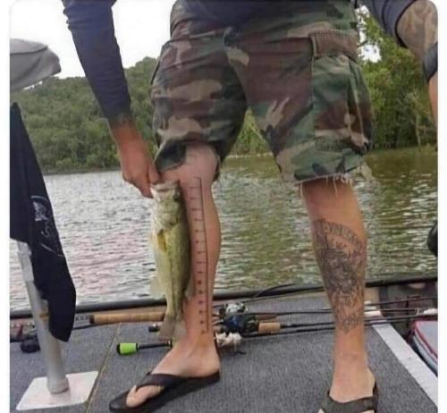 FB_IMG_1721584033707