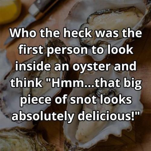 449826110_8443580025672234_179236077524893713_n