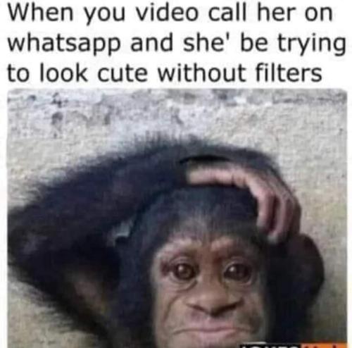 image_C85FAA95-07C8-4C20-97B7-63F3B8D95A4A