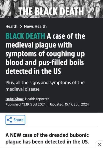 IMG_20240715_202929_643