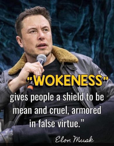 Musk on wokeness
