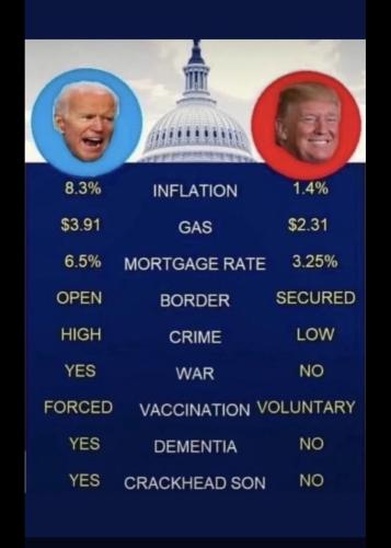 ba8ebb5e-ed46-4946-b50d-6ad930e0fd39