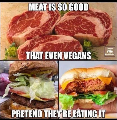 450131102_122159536838125858_177239402750893039_n