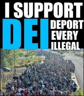 illegal immigration396