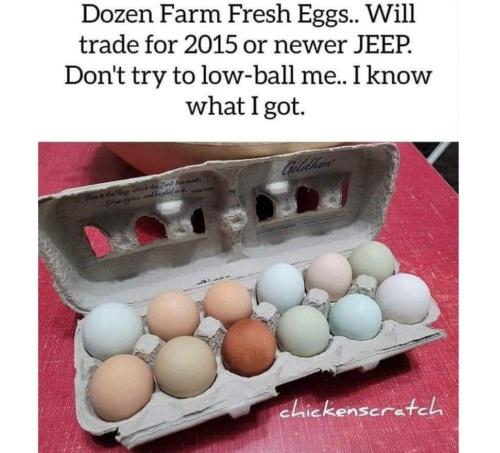 image_60203E22-E5C8-4138-8867-FFF218ACD31C