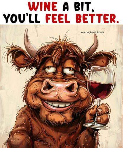 449530233_122159028860058688_6534528172687341422_n