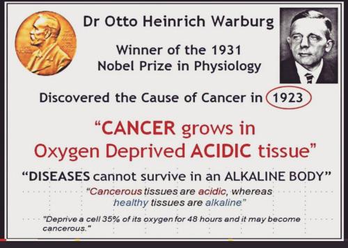 Alkaline and cancer