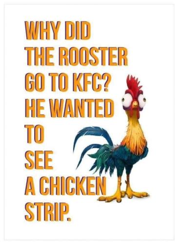 66163958_657158621471129_2293915584384991232_n