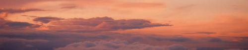 odb20240709