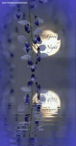 ⚘🌺sweet_pea..💗⚘🌷_¤▪︎⚘🌷🌺☆⚘○💗~♡☆⚘💗▪︎🌷•°~_🦋_20240703_10