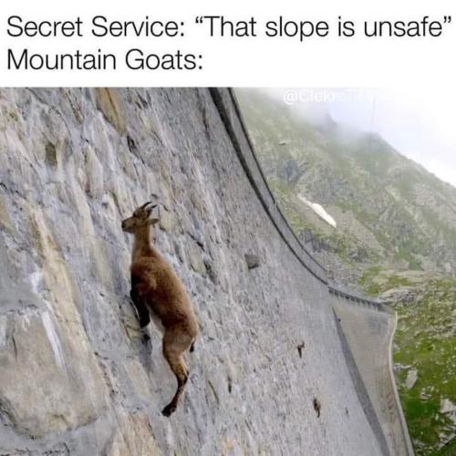 FB_IMG_1722093896936