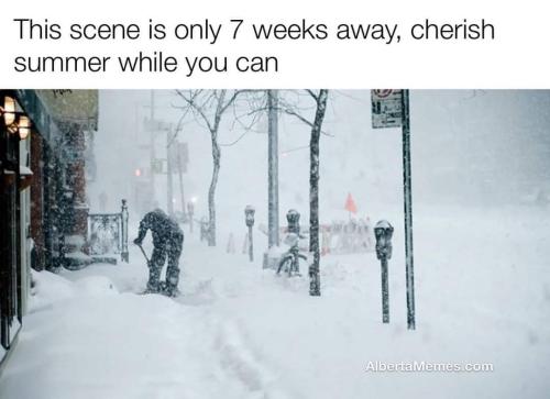 7 weeks away