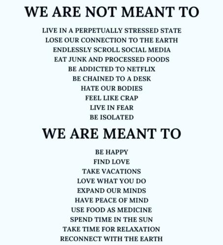 IMG_20240717_175044_251