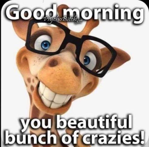 452645111_8393993873958426_6212496661822333283_n