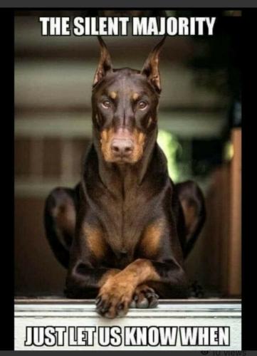 497c9986-c145-4e73-9ed2-6dab7e249d7f