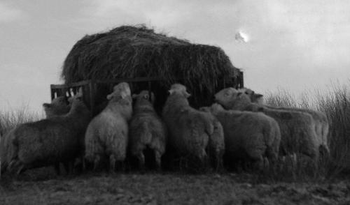 PicsArt_02-17-03.28.04