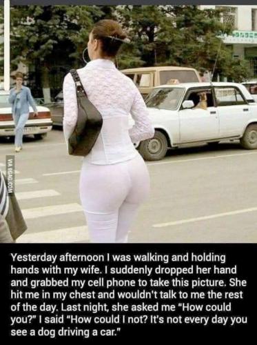 451873258_3487640734859140_8892741604967570267_n