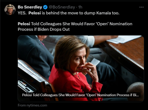 Pelosi 2