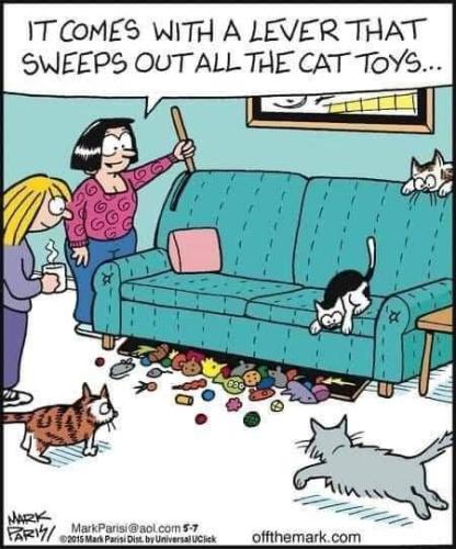 cat funnies 16