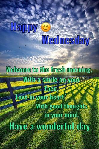Happy Wednesday 8