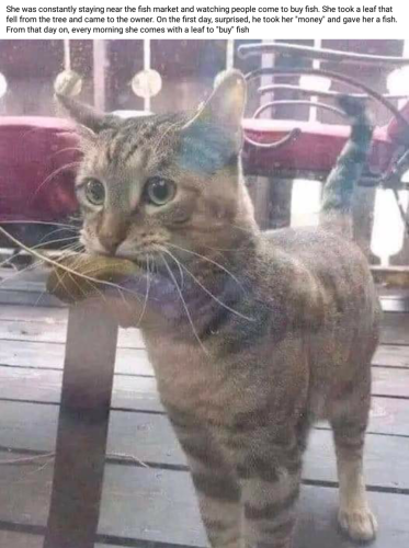 Screenshot_2024-07-18-00-43-56_kindlephoto-48338141