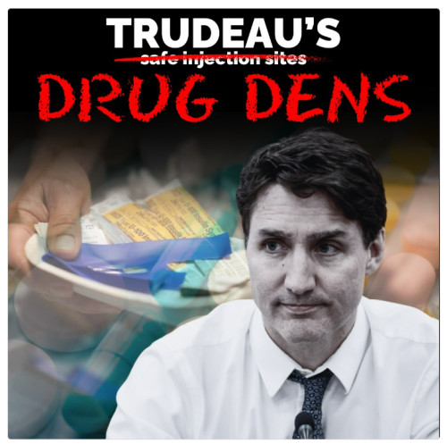 sockboys dens