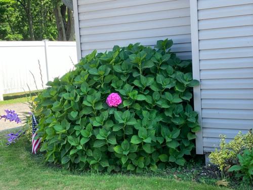 0F139B4B-9C7F-4A10-9773-21A3DC272669