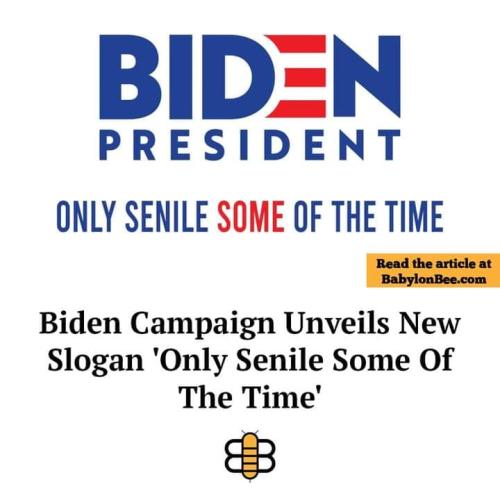 451054838_508730285060785_6533371270648049206_n