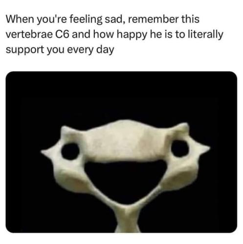 3f3ec266-57d5-433a-beae-98bbca8f572d