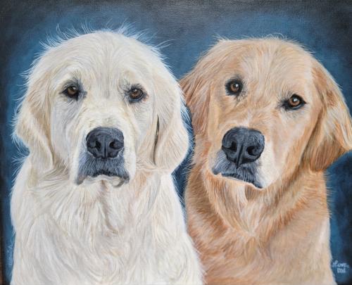 Screenshot_20231001_172815_Gallery